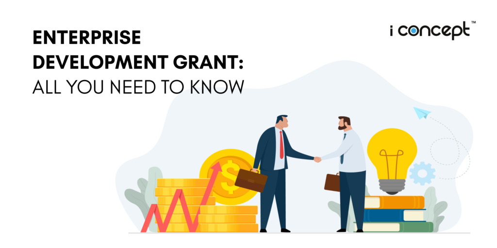 Enterprise Development Grant: All You Need To Know