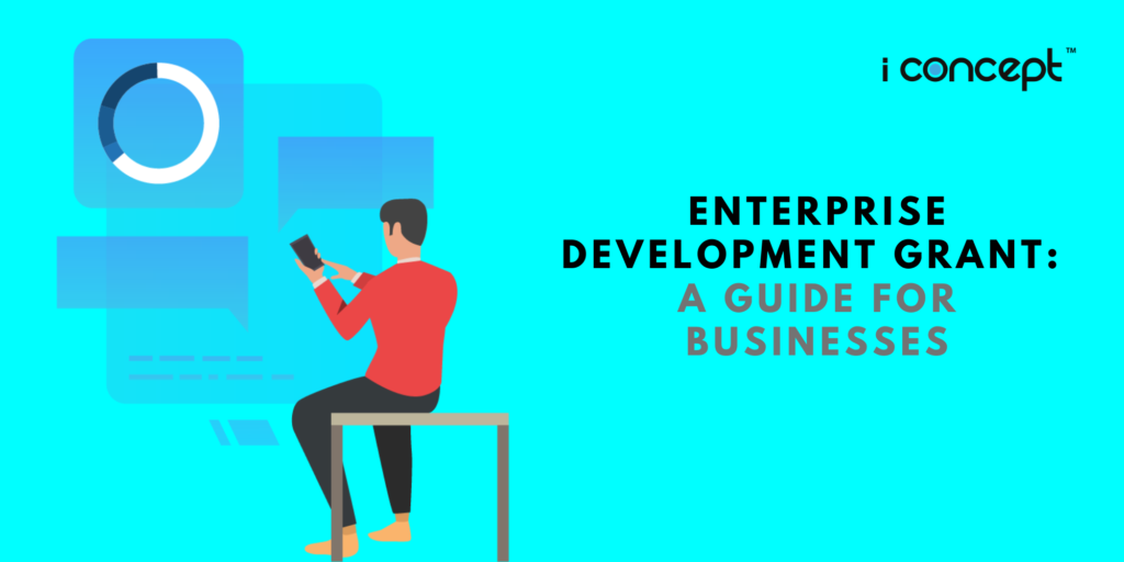 Enterprise Development Grant (EDG): A Guide for Businesses